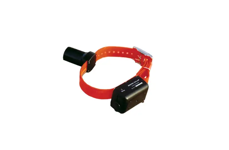 DT Systems Baritone Beeper Collar